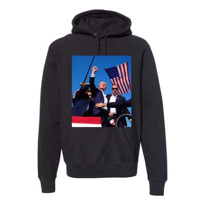 Trump 2024 Donald Trump Fist Pump Premium Hoodie