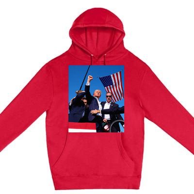 Trump 2024 Donald Trump Fist Pump Premium Pullover Hoodie