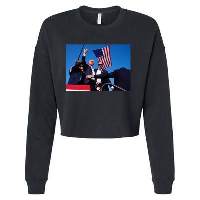 Trump 2024 Donald Trump Fist Pump Cropped Pullover Crew