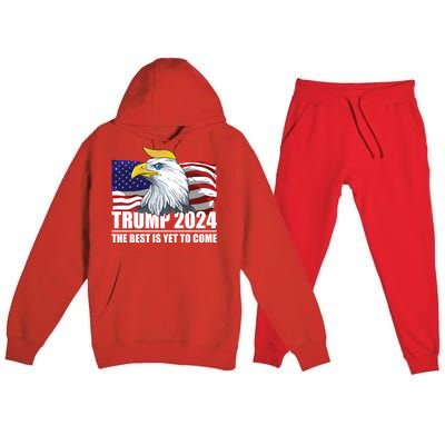 Trump 2024 Eagle Usa Flag Donald Trump Elections 2024 Gift Premium Hooded Sweatsuit Set