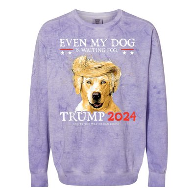 Trump 2024 Even My Dog Is Waiting For Trump 2024 Colorblast Crewneck Sweatshirt