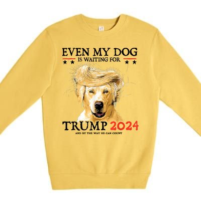 Trump 2024 Even My Dog Is Waiting For Trump 2024 Premium Crewneck Sweatshirt