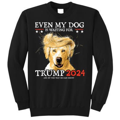 Trump 2024 Even My Dog Is Waiting For Trump 2024 Sweatshirt