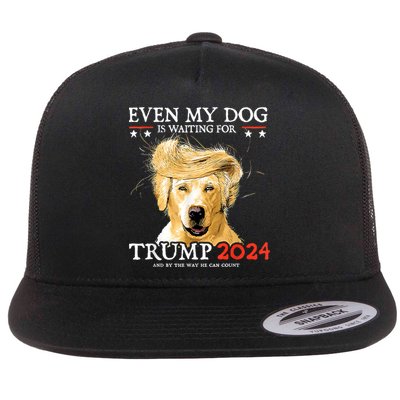 Trump 2024 Even My Dog Is Waiting For Trump 2024 Flatbill Hat