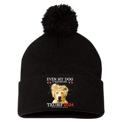 Trump 2024 Even My Dog Is Waiting For Trump 2024 Pom Pom 12in Knit Beanie