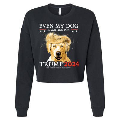 Trump 2024 Even My Dog Is Waiting For Trump 2024 Cropped Pullover Crew