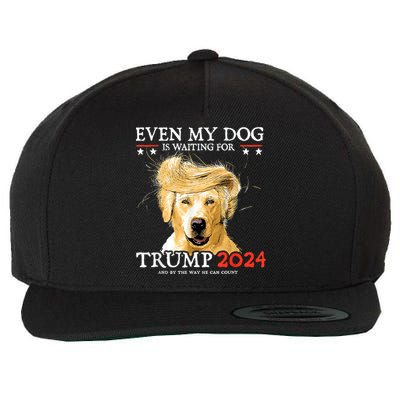Trump 2024 Even My Dog Is Waiting For Trump 2024 Wool Snapback Cap