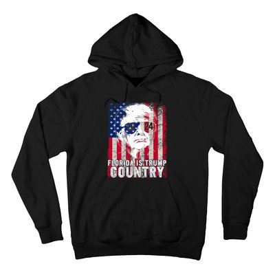 Trump 2024 Florida Trump Country American Flag Election Hoodie