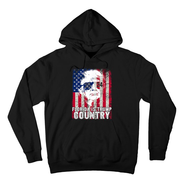 Trump 2024 Florida Trump Country American Flag Election Hoodie