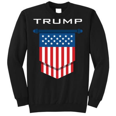 Trump 2024 Flag Take America Back Tall Sweatshirt