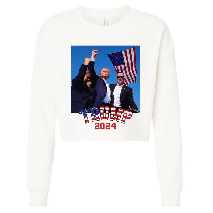 Trump 2024 HeLl Never Stop Fighting To Save America Cropped Pullover Crew