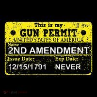 The 2a Is My Gun Permit Proud American Pro 2nd Amendment T-Shirt