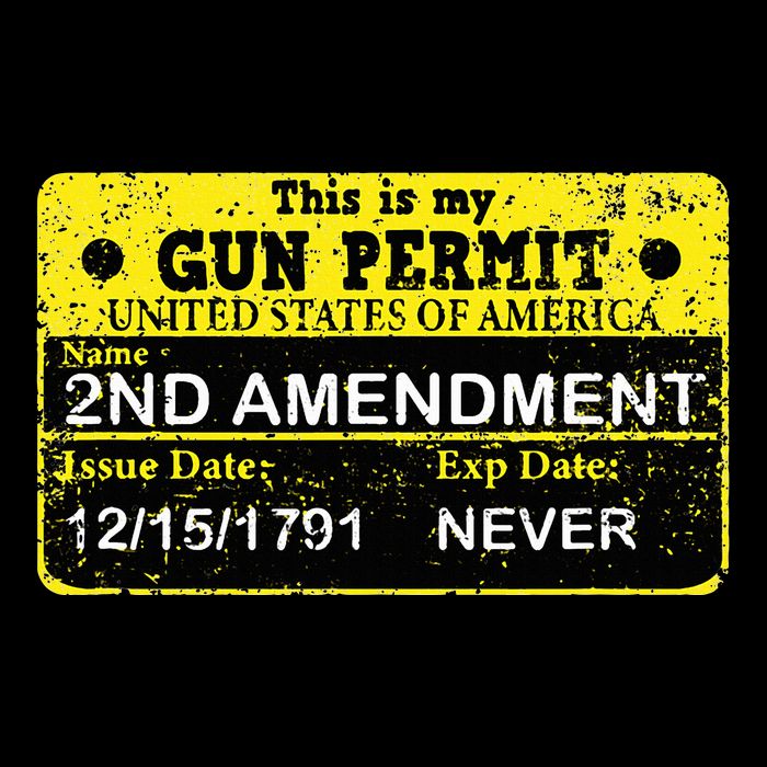 The 2a Is My Gun Permit Proud American Pro 2nd Amendment 16 in Basic Backpack