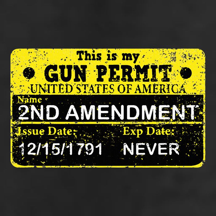 The 2a Is My Gun Permit Proud American Pro 2nd Amendment Hat