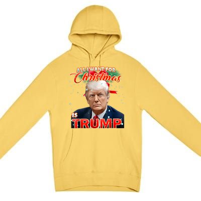 Trump 2024 I Want Trump This Christmas Premium Pullover Hoodie