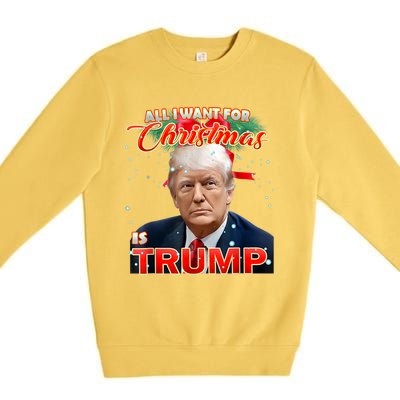 Trump 2024 I Want Trump This Christmas Premium Crewneck Sweatshirt