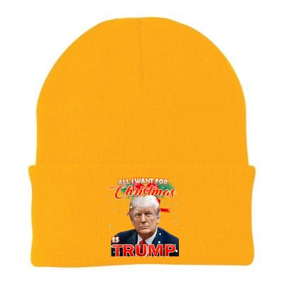 Trump 2024 I Want Trump This Christmas Knit Cap Winter Beanie