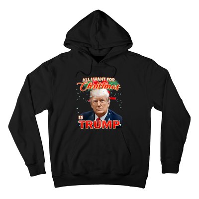 Trump 2024 I Want Trump This Christmas Hoodie