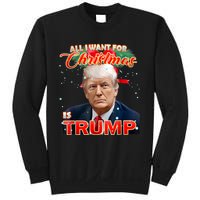 Trump 2024 I Want Trump This Christmas Sweatshirt