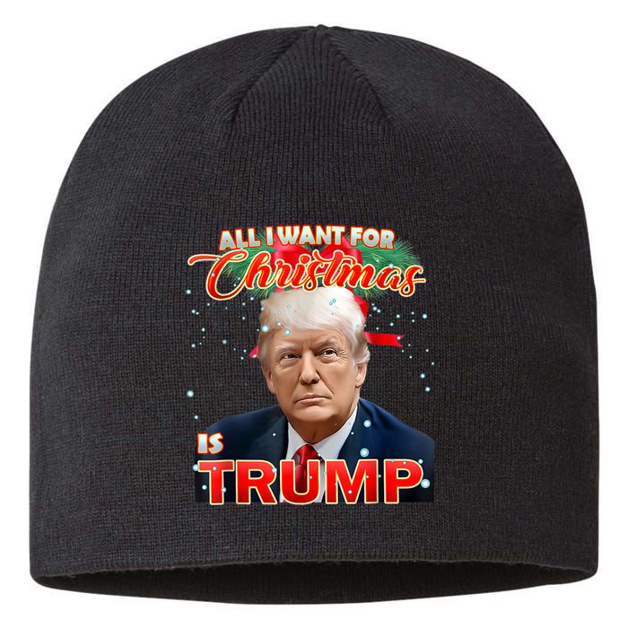 Trump 2024 I Want Trump This Christmas Sustainable Beanie