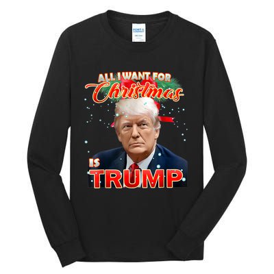 Trump 2024 I Want Trump This Christmas Tall Long Sleeve T-Shirt