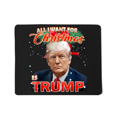 Trump 2024 I Want Trump This Christmas Mousepad