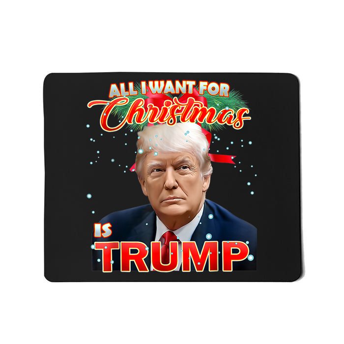 Trump 2024 I Want Trump This Christmas Mousepad