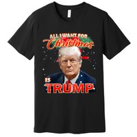 Trump 2024 I Want Trump This Christmas Premium T-Shirt