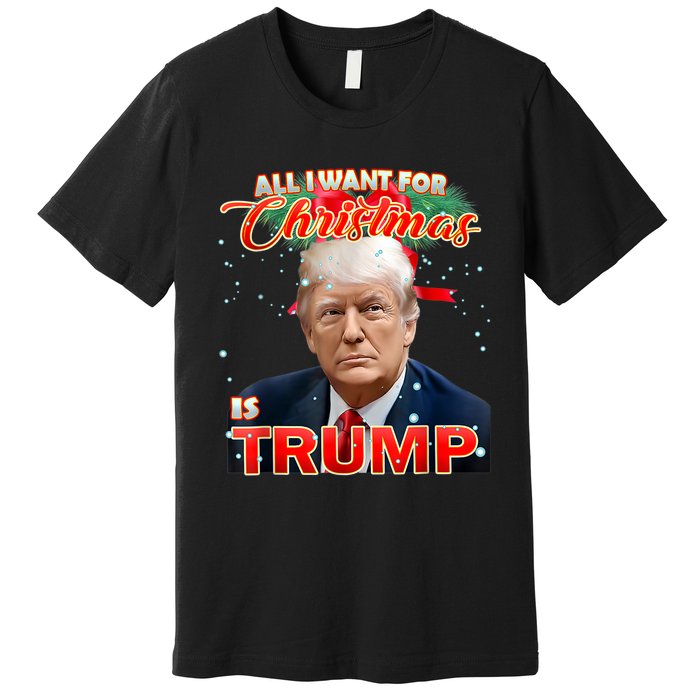 Trump 2024 I Want Trump This Christmas Premium T-Shirt