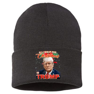 Trump 2024 I Want Trump This Christmas Sustainable Knit Beanie