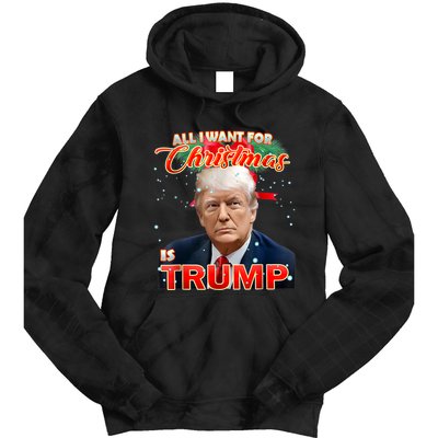 Trump 2024 I Want Trump This Christmas Tie Dye Hoodie