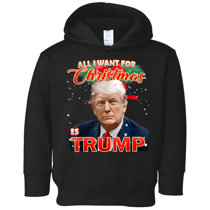 Trump 2024 I Want Trump This Christmas Toddler Hoodie