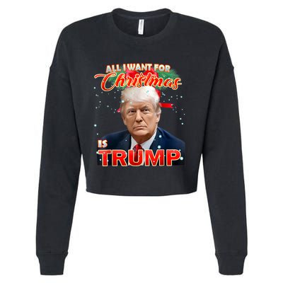 Trump 2024 I Want Trump This Christmas Cropped Pullover Crew