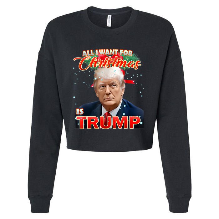 Trump 2024 I Want Trump This Christmas Cropped Pullover Crew