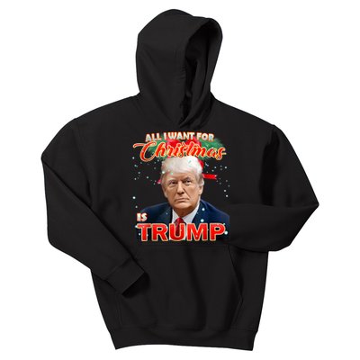 Trump 2024 I Want Trump This Christmas Kids Hoodie