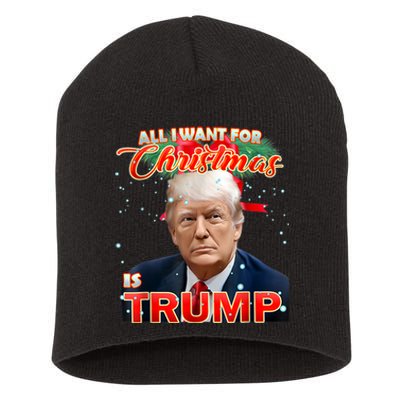 Trump 2024 I Want Trump This Christmas Short Acrylic Beanie