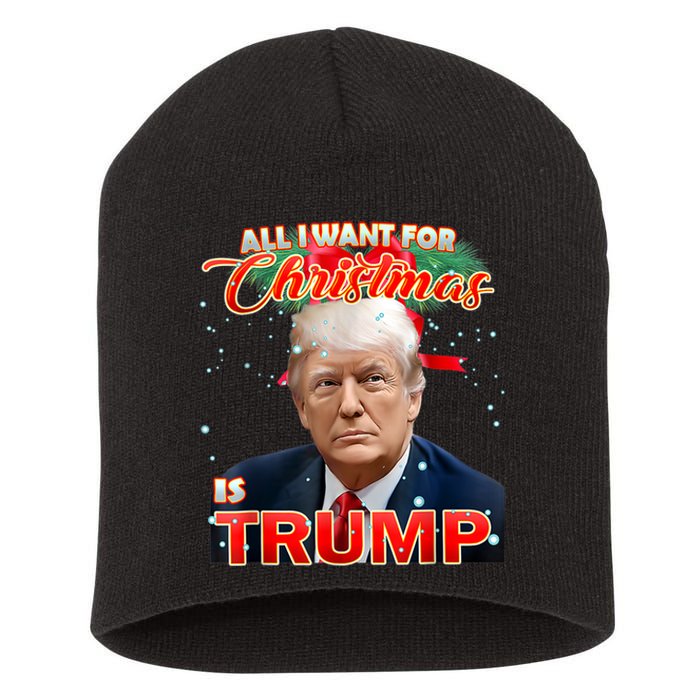 Trump 2024 I Want Trump This Christmas Short Acrylic Beanie