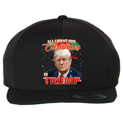 Trump 2024 I Want Trump This Christmas Wool Snapback Cap