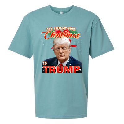 Trump 2024 I Want Trump This Christmas Sueded Cloud Jersey T-Shirt