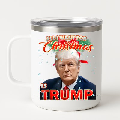 Trump 2024 I Want Trump This Christmas 12 oz Stainless Steel Tumbler Cup