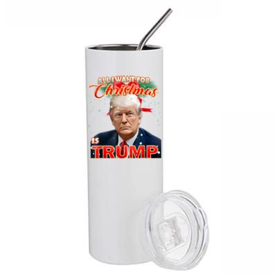 Trump 2024 I Want Trump This Christmas Stainless Steel Tumbler