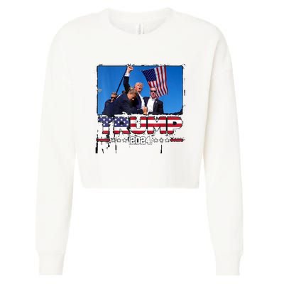 Trump 2024 ILl Never Stop Fighting For My Country Cropped Pullover Crew