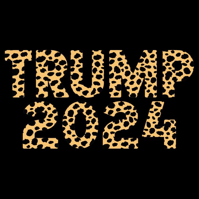 Trump 2024 Leopard Design City Backpack