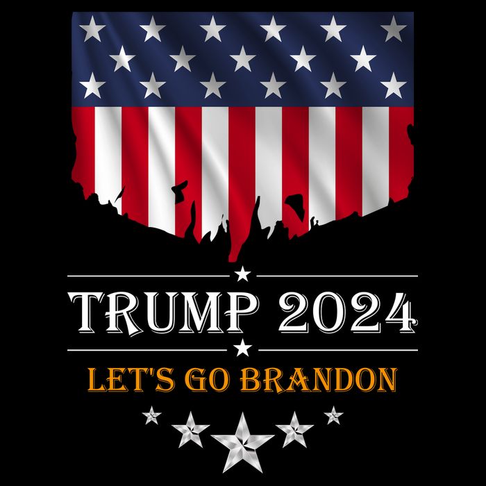 Trump 2024 Lets Go Brandon U.S Flag Cropped Pullover Crew