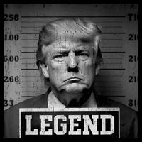 Trump 2024 Mugshot President Legend Toddler T-Shirt