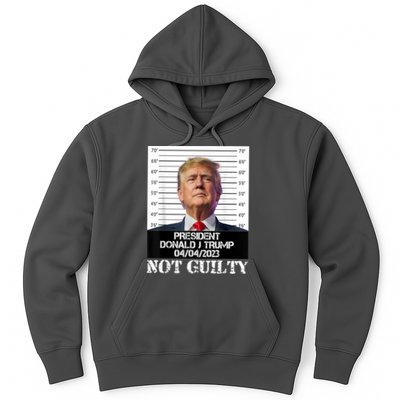 Trump 2024 Mugshot President Free Donald Trump Not Guilty Hoodie