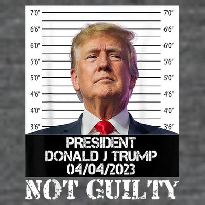 Trump 2024 Mugshot President Free Donald Trump Not Guilty T-Shirt