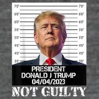 Trump 2024 Mugshot President Free Donald Trump Not Guilty Toddler T-Shirt