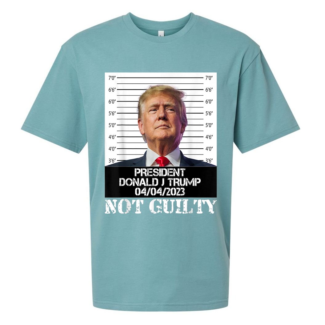 Trump 2024 Mugshot President Free Donald Trump Not Guilty Sueded Cloud Jersey T-Shirt