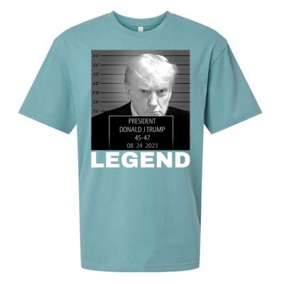 Trump 2024 Mugshot President legend Sueded Cloud Jersey T-Shirt